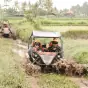Tandem Jungle Buggy