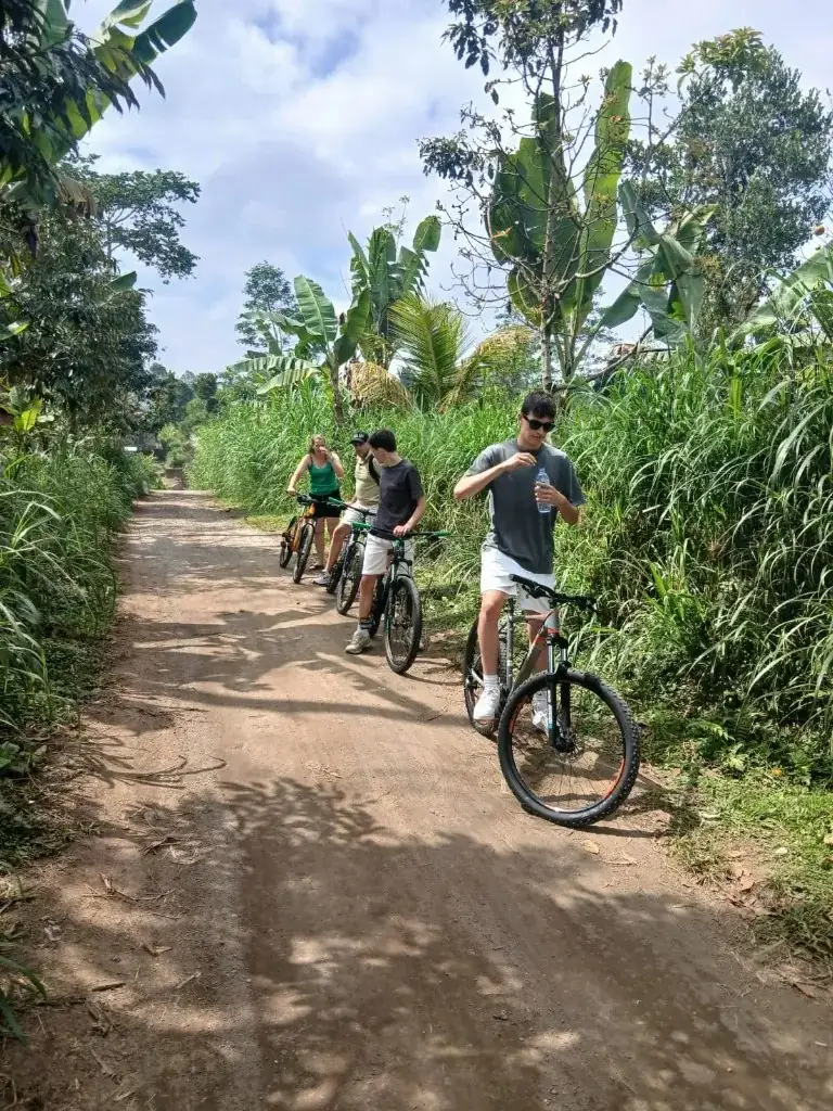 Safety Standards, Guide Certifications & Local Insurance on Ubud Ricefield Cycling